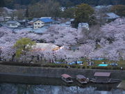 LOTTY̋ёы@⍑ۊόze̓eʐ^2