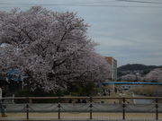 LOTTY̐،ː͐^̓eʐ^2