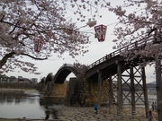 LOTTY̋gEёы^̓eʐ^2