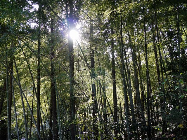 �[�₯���₯�ӂꂠ���̗�_�[�₯���₯�ӂꂠ���̗�