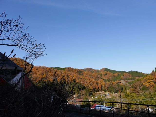 �[�₯���₯�ӂꂠ���̗�_�[�₯���₯�ӂꂠ���̗�