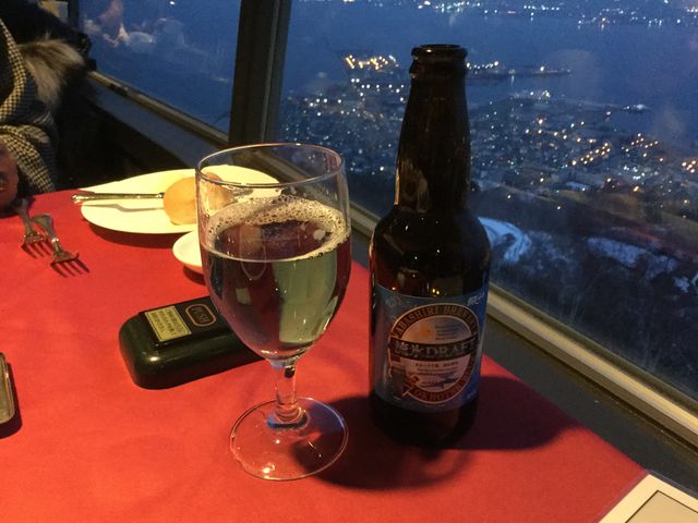 ���X�h���t�g_���َR���[�v�E�F�C