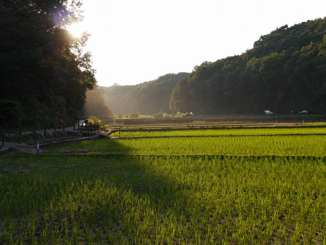 【寺家ふるさと村】アクセス・営業時間・料金情報