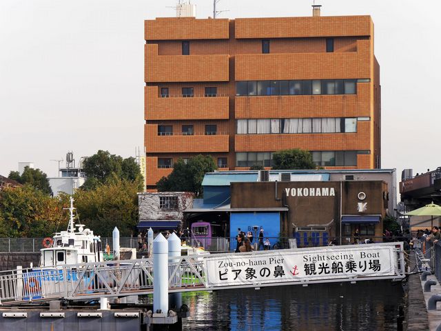 ܂5525BLUE BLUE YOKOHAMA̓eʐ^2