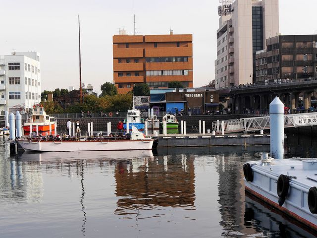 BLUE@BLUE@YOKOHAMA_BLUE BLUE YOKOHAMA