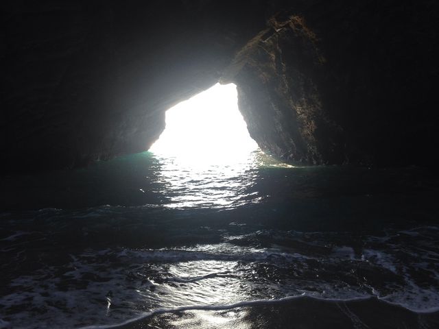 �Y��ł�����I_���{�A