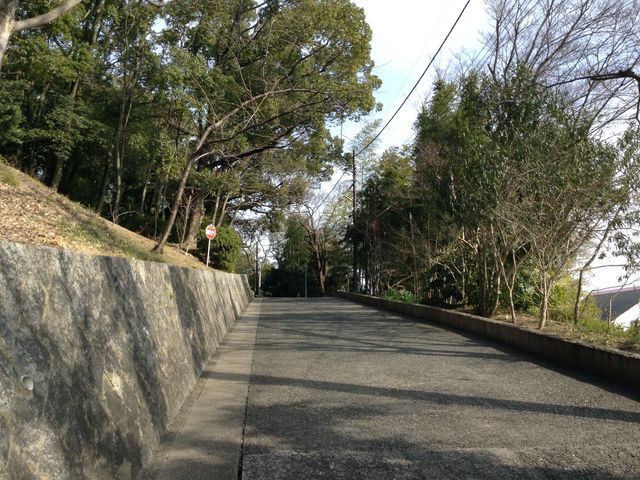 �y���q�_�Ёz
���R���q�~�s�{��12-1_���q�_��