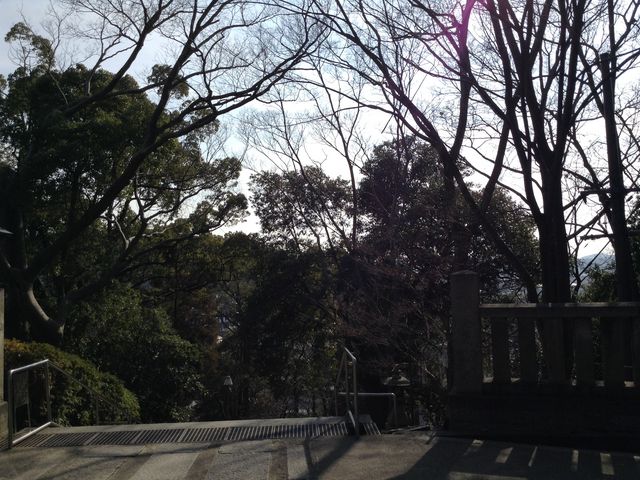 �y���q�_�Ёz
���R���q�~�s�{��12-1_���q�_��