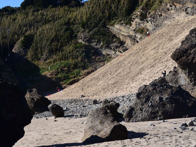 ���R������o�������̎ΖʁB_�c���T���h�X�L�[��