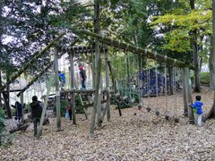相模原麻溝公園フィールドアスレチックの写真一覧 じゃらんnet