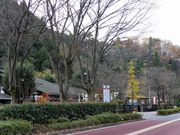 ܂5525̗[₯₯ӂꂠ̗̓eʐ^4