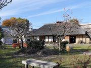 ܂5525̍]sÖƉiނ疯Ɖj̓eʐ^2