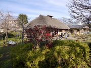 ܂5525̍]sÖƉiނ疯Ɖj̓eʐ^3