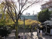 ܂5525̍̐_Ђ̓eʐ^3