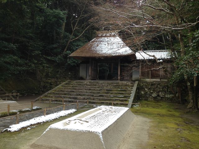 �ʐ^�@_�@�R�@