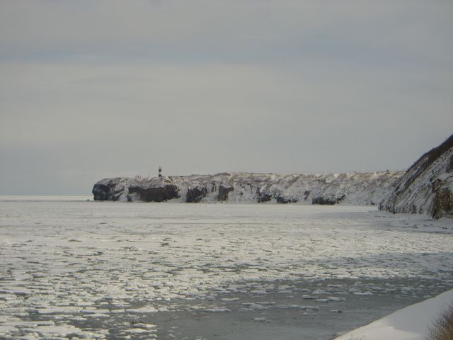 ���X���ڊ݂���_�\�斦�C��