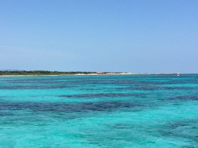 �f���炵�������x�I_�Ί_��