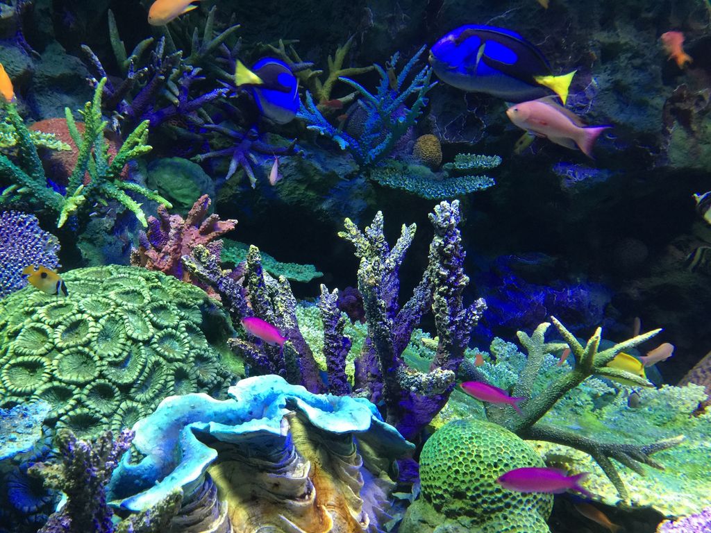 サンシャイン水族館