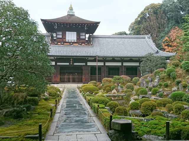 ��_������