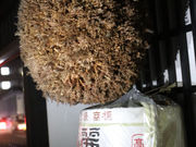 KAKO̗l𑢊Ђ̓eʐ^1