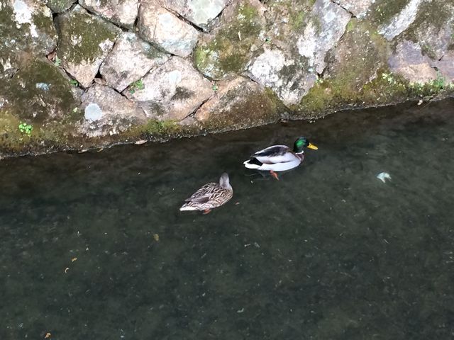 _Ћ߂̓Nw̓̑aɂ́A܂B_L_