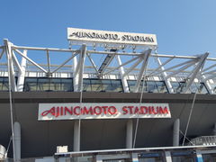 Ƃ񂳂̖̑fX^WAւ̓eʐ^1