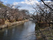 ͂ނ5525̉HԋuˎR̓eʐ^1