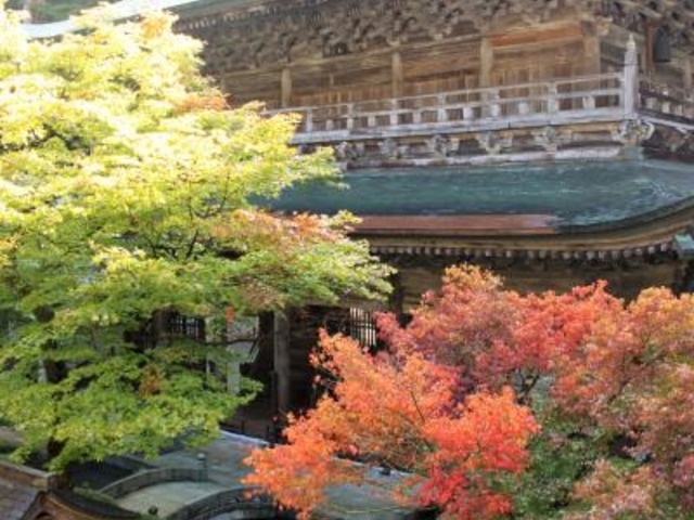 �i����_�����@��{�R�i����