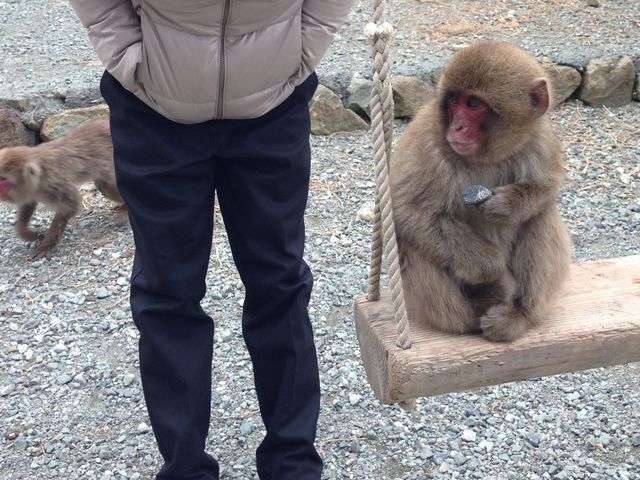 Ȃɋ߂̂ɓ܂_g胂L[xC