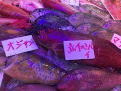 ��������񂳂�̑��q�u���ݎs��ւ̓��e�ʐ^1