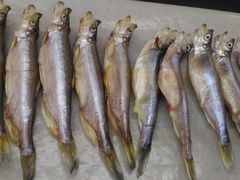 �݁[��[�ԁ[����̂ւ̓��e�ʐ^2