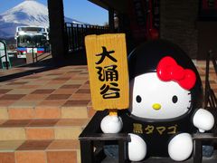 hanano����̋ʎq�����ւ̓��e�ʐ^1