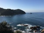 poporon����̋S�C�P�Y�̓��e�ʐ^5