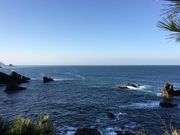 poporon����̋S�C���Y�W�]���̓��e�ʐ^3