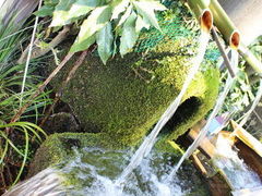 ܂ˁ[񂳂̈h_ЖO߂ւ̓eʐ^1