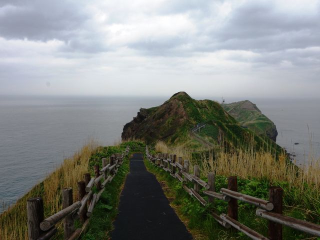 �˒[�����̒��]_�_�Ж�