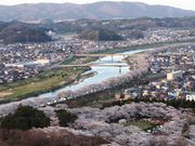 ܂[܂񂳂̔ΐڐ{̓eʐ^3