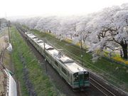 ܂[܂񂳂̔ΐڐ{̓eʐ^4