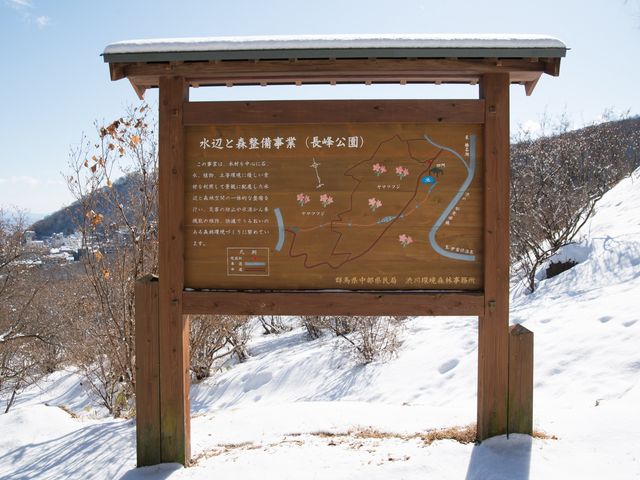 �n�}_�������