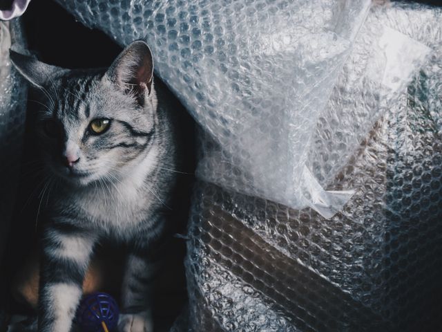 ���|������݂߂�L_�R���ā@�Ȃ������[