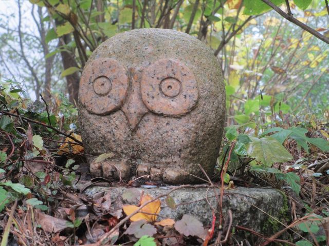 ふくろう神社！ フクロウ案内 | 鷲子山上神社