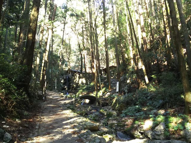 ��ˎQ��_�V�̊��