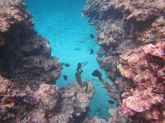 P̃}VbvΊ_Ί㐿ւ̓eʐ^3