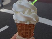 neko�����GUFO�̓��e�ʐ^1