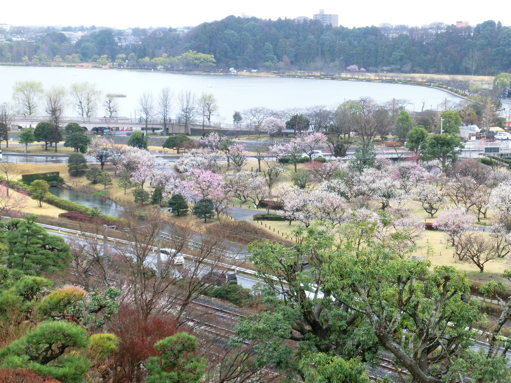 偕楽園