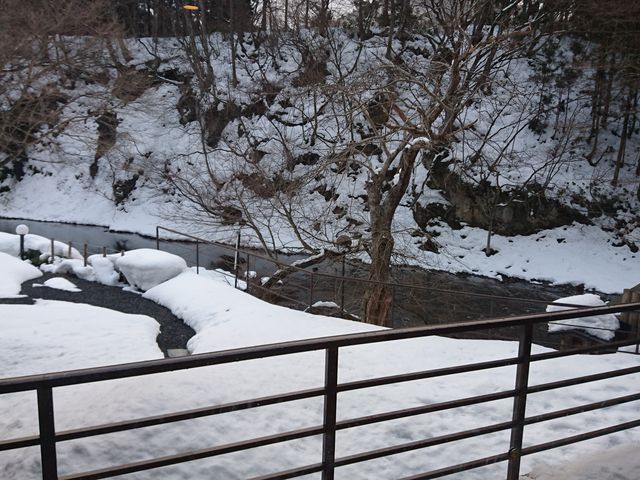 �i�F_�V������@���׊�