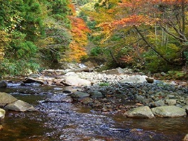 ��������̍g�t_��������