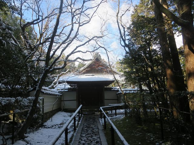 ���ˉ@_�哿��