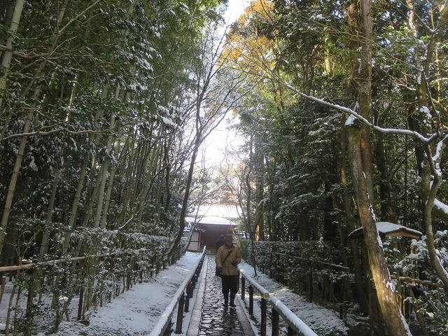 ���ˉ@_�哿��