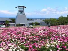 愛宕山公園の写真一覧 じゃらんnet